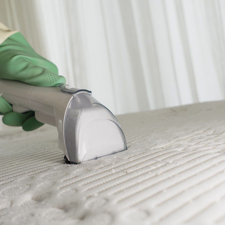 Cleaning services in The 285 Corridor, CO Cleaning services in The 285 Corridor, CO