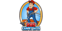 285 Carpet Guys